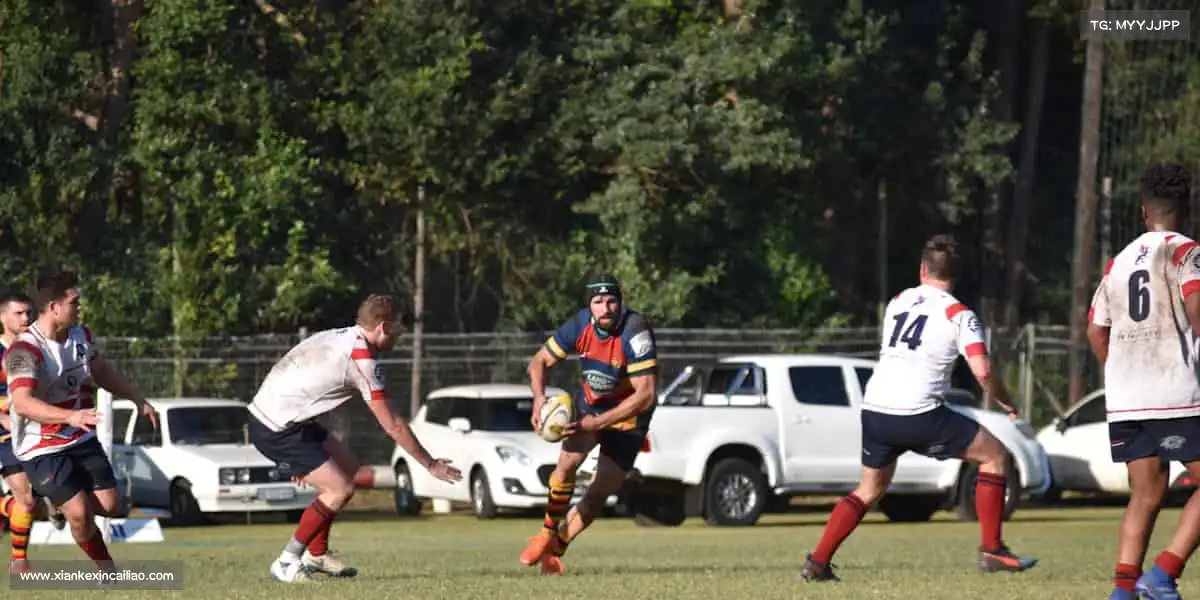 行业领先的理由